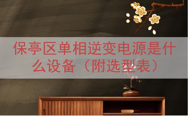 保亭区单相逆变电源是什么设备（附选型表）